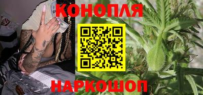 сатива Будённовск